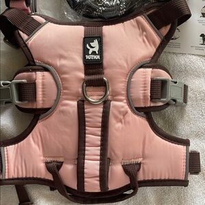 Pink Dog Walking Harness and Leash And Pink Dog Collar NWT. Size M.